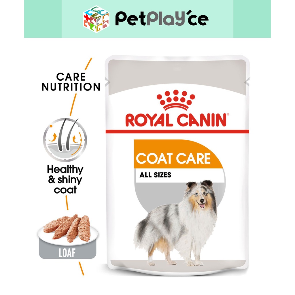 Royal Canin Coat Care Loaf 85g Dog Wet CoatCare SPT Range Pouch