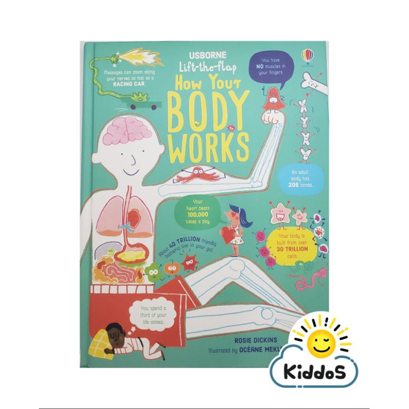 Usborne Lift the Flap How Your Body Works Children Books Shopee