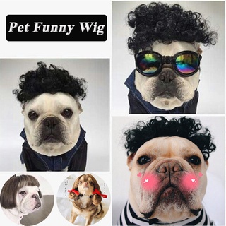 Funny Cat Wig Costume Pet Dog Costume Suitable for Puppy Wig Cool Pet Cosplay Funny Props Headgear