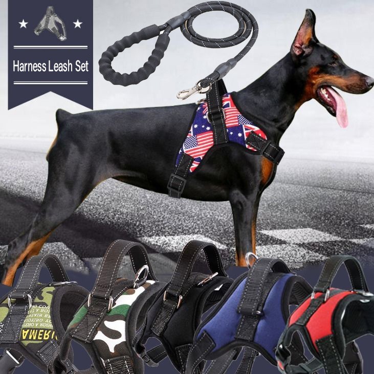 dog training leashes and collars