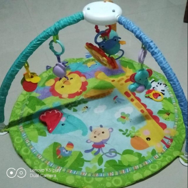 fisher price activity gym