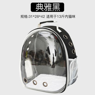 cat globe backpack