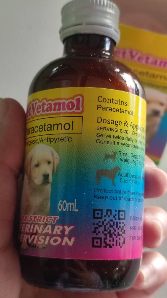 can dogs have liquid paracetamol