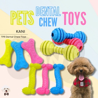 KANI Dog teething toys puppy chew teething toys Resistant to Bite Bone Molar Thorn pet supplies