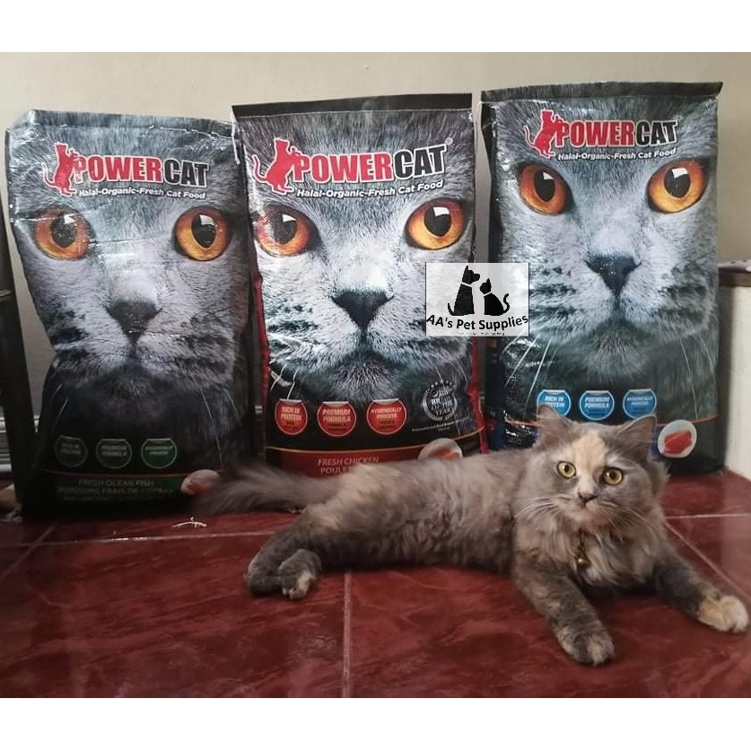 Power Cat Adult - REPACK - Cat Dry Food #1