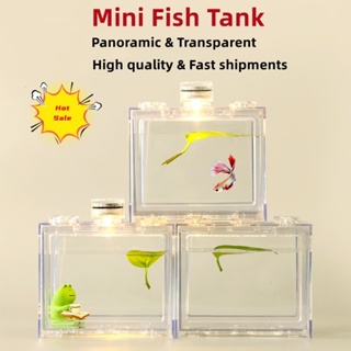 DEVEBY Mini Fish Aquarium Block Tank Betta Guppy Building