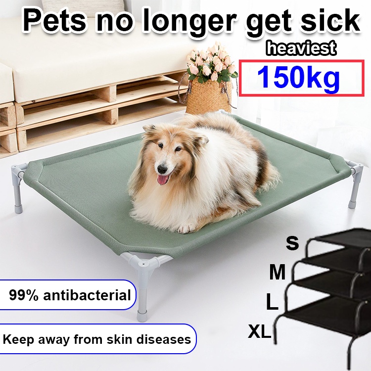 Are Elevated Dog Beds Comfortable