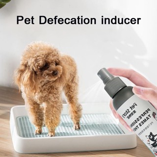 50ml Pet Defecation inducer Dog Pee Inducer Guided Toilet