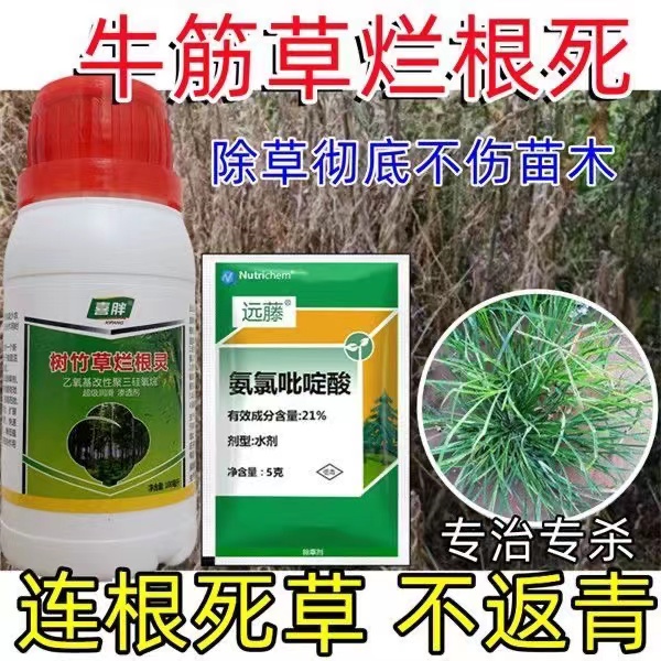 <brand new>Tree Killer Rotten Root Pesticides Herbicide Tree Killer Bamboo Killer Kills Big Trees,