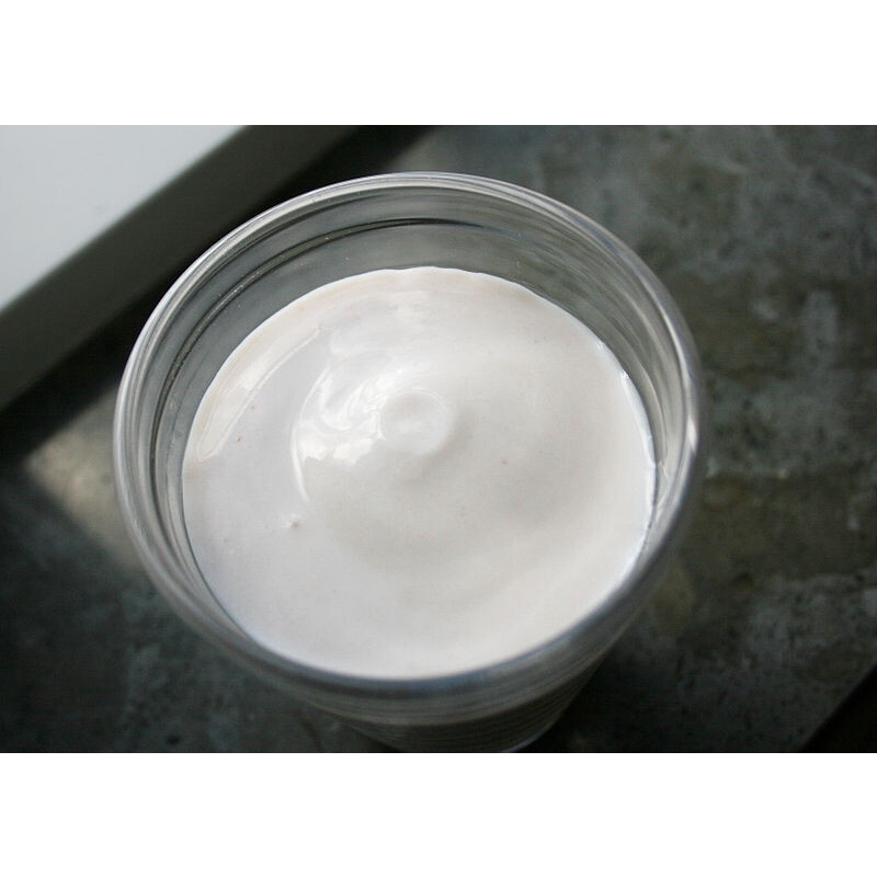 SWEDISH FILMJOLK YOGURT STARTER makes 1 liter Shopee Philippines