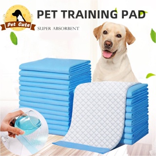 Pet Pee Pad Dog Training Pad  Dog Potty Pads Cat Dog Pee Training Pad Pet Wee Pee Poop Training Pad