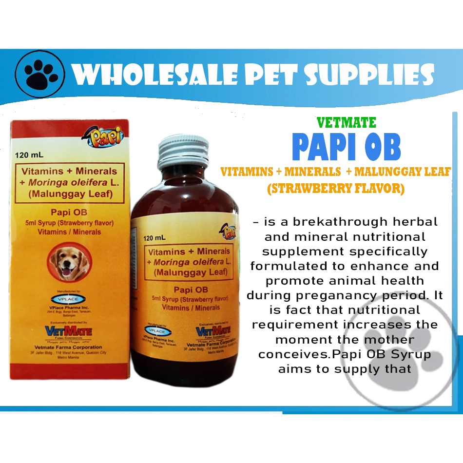PAPI OB SYRUP (Vitamins + Minerals + Moringa oleifera L.) 120mL