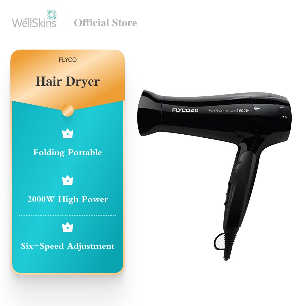 Flyco Hair Dryer Negative Ion Hair Blower Salon Blower Portable High