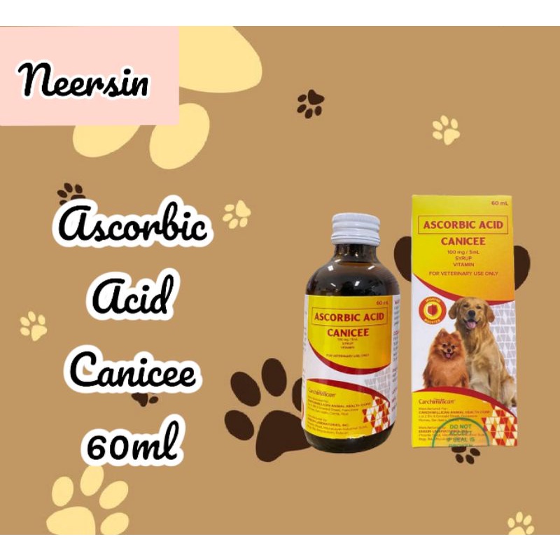 Can Dogs And Cats Make Vitamin C