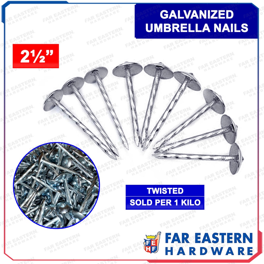 Galvanized Umbrella Nails Twisted 2½" 1Kilo/Pack Shopee Philippines