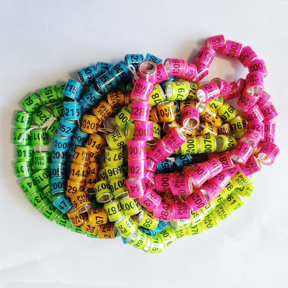 50 Pcs PHA Pigeon Foot Rings 2024 PHA Pigeons ring 10 Colors 8mm