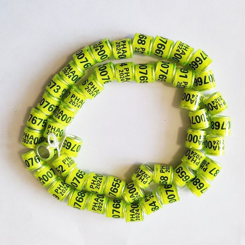 50 Pcs PHA Pigeon Foot Rings 2024 PHA Pigeons ring 10 Colors 8mm