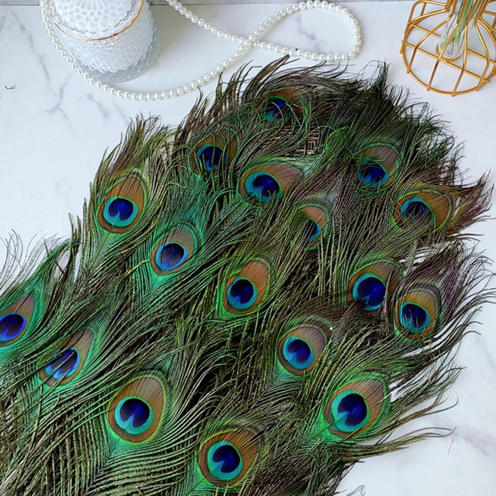 Peacock Feather Kit Elegant Peacock Feather Vase Craft Kit for Diy Projects Floral Arrangements 1TU