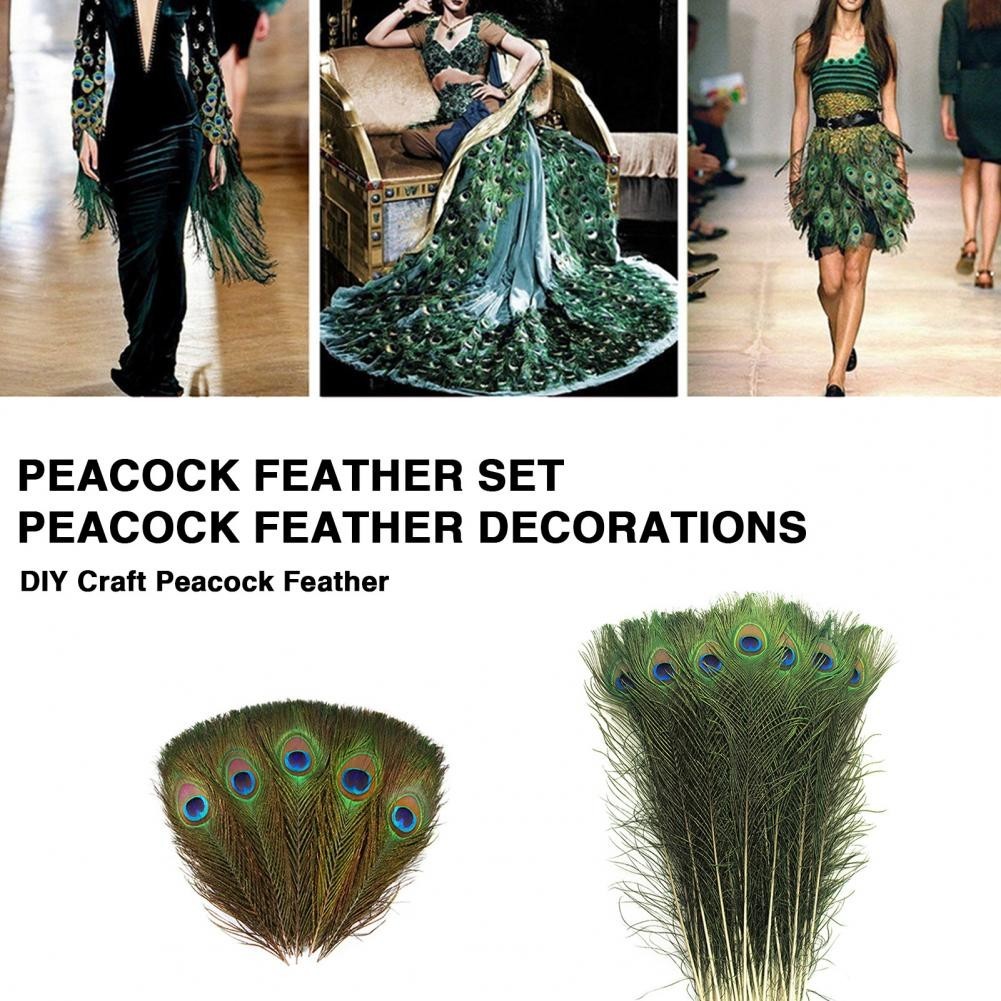 Peacock Feather Kit Elegant Peacock Feather Vase Craft Kit for Diy Projects Floral Arrangements 1TU - Image 4