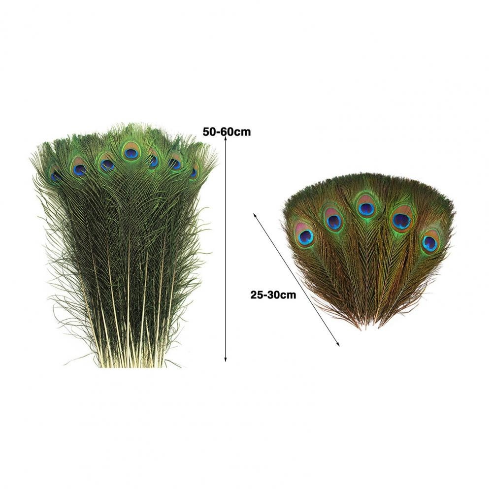 Peacock Feather Kit Elegant Peacock Feather Vase Craft Kit for Diy Projects Floral Arrangements 1TU - Image 5