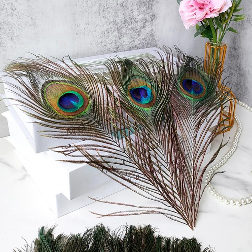 Peacock Feather Kit Elegant Peacock Feather Vase Craft Kit for Diy Projects Floral Arrangements 1TU - Image 2