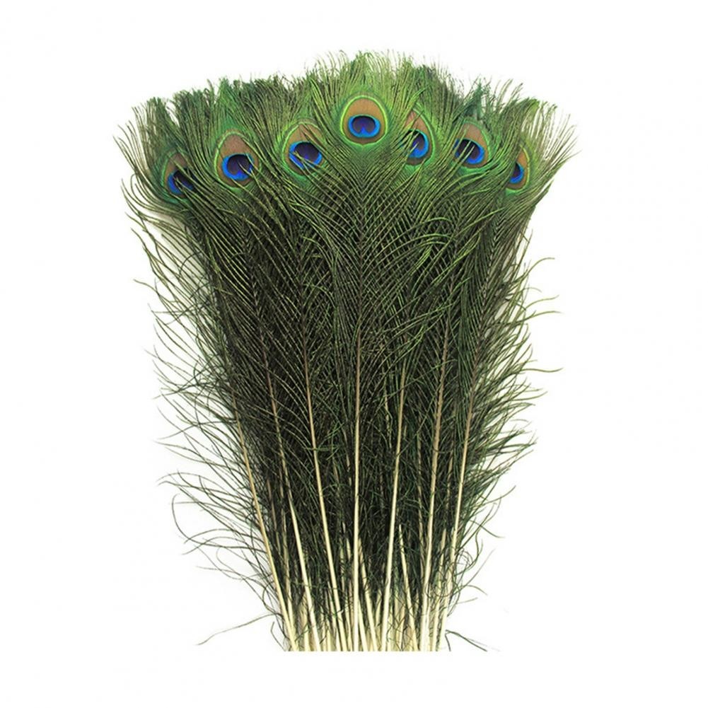 Peacock Feather Kit Elegant Peacock Feather Vase Craft Kit for Diy Projects Floral Arrangements 1TU - Image 3
