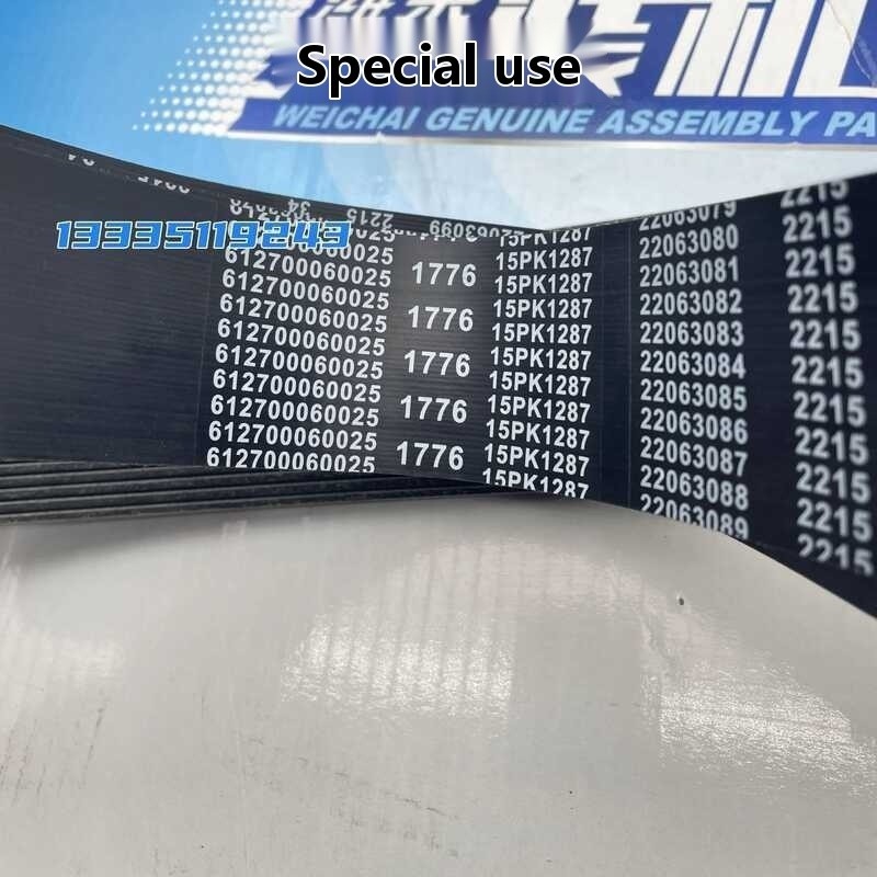 P12P13 Engine Fan Generator Belt 15PK1287 Original Genuine Parts - Image 2