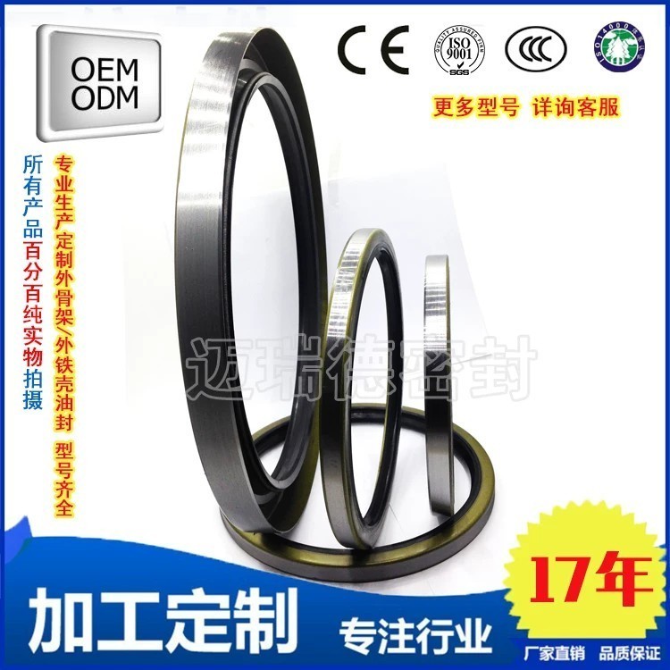 20 20 28 External exposed iron shell skeleton oil seal sealing ring