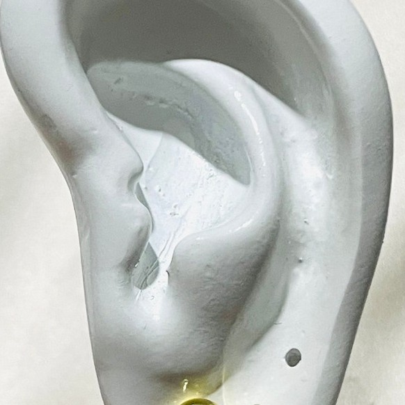 Tiff@ ny-Inspired Heart Stud Earrings | Yellow Gold Settings | Polished Heart Design product photo 4