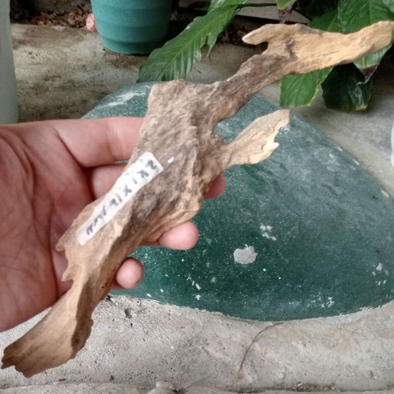 Aquarium Driftwood (2x1x12 inch) Shopee Philippines