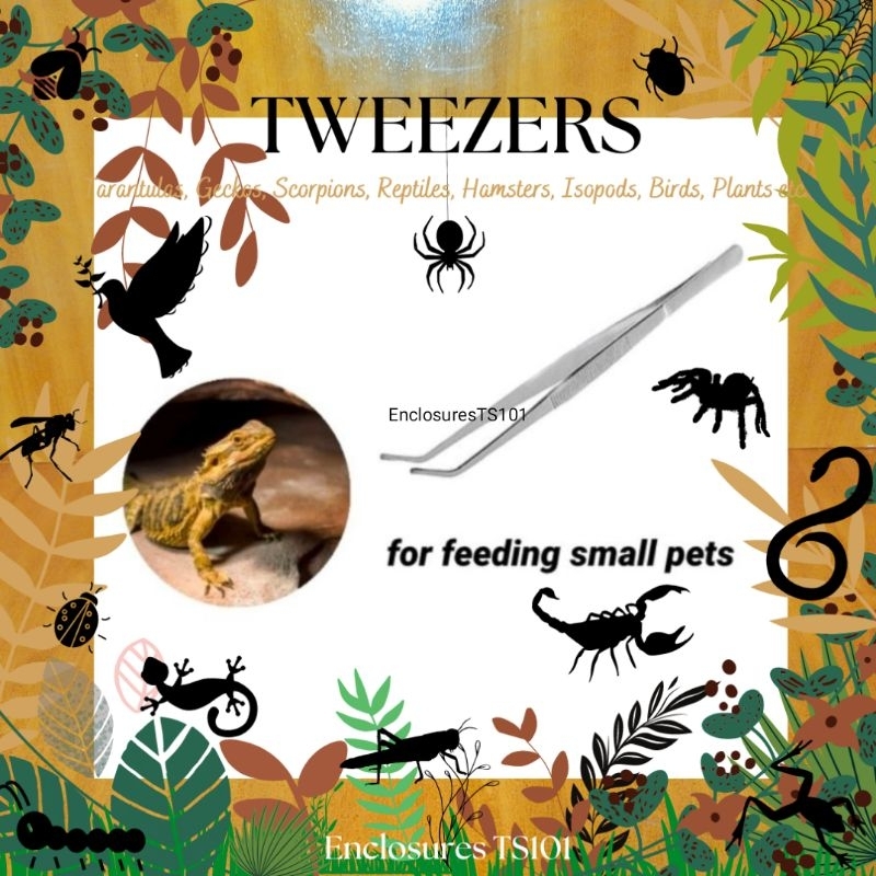 Long Tweezer (10 inches) forceps for feeding Tarantula Scorpion