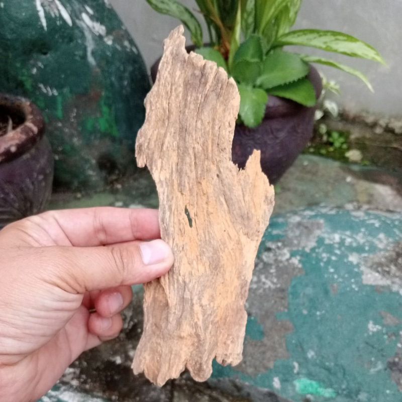 aquarium-driftwood-8x3x22-cm-shopee-philippines