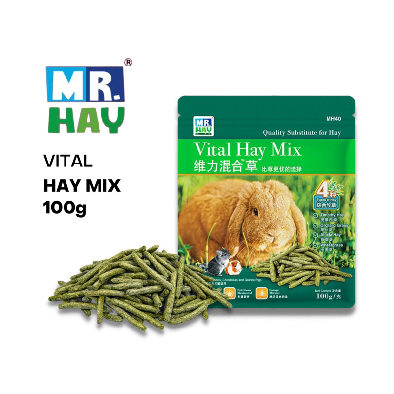 MR. HAY Vital Hay Mix (Timothy Hay/Orchard Grass/Alfalfa Hay/Wheat Grass) for Rabbits & Guinea Pigs #1