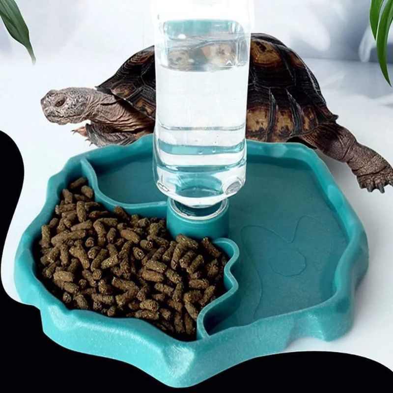 Dual Purpose Reptile Dish Shopee Philippines