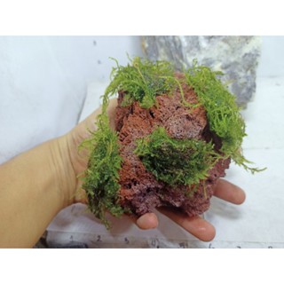 moss/lava rock  design for aquarium 3 pcs #7