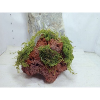 moss/lava rock  design for aquarium 3 pcs #3