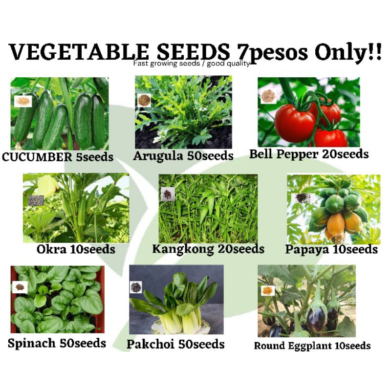 SULIT PACK SEEDS ( ARUGULA, KANGKONG, PAPAYA , CUCUMBER, BELL PEPPER ...