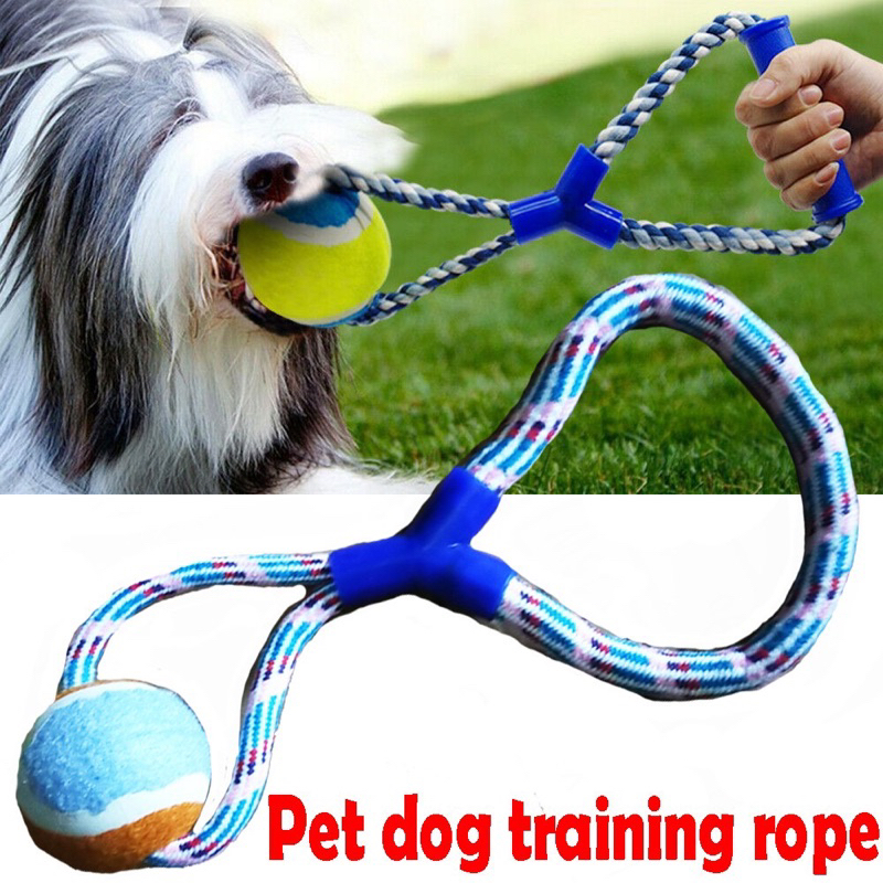 Tennis Ball Toys Large Dogs #1