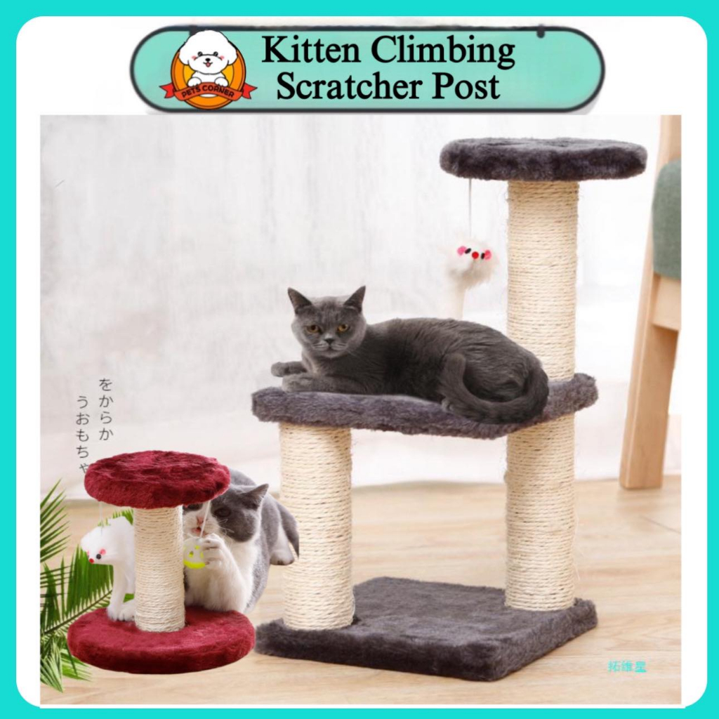 Cat scratcher shopee hotsell