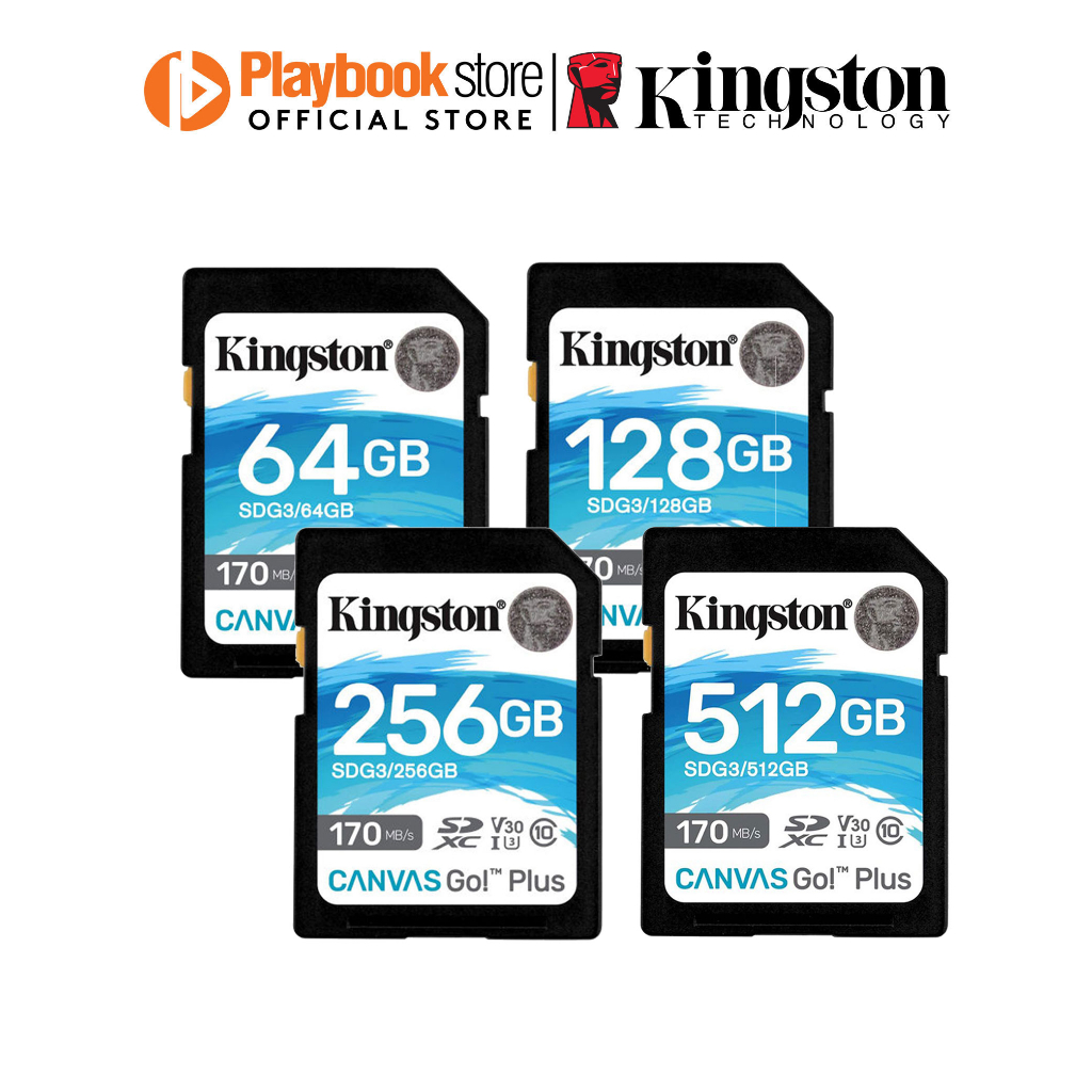 memory card for mirrorless camera