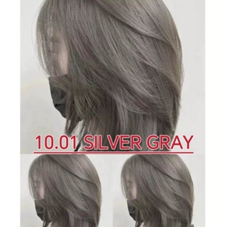 10.01 Silver Gray Hair Color Cream Hair Dye Hair Care 100ml SET with Oxidizer 100ml