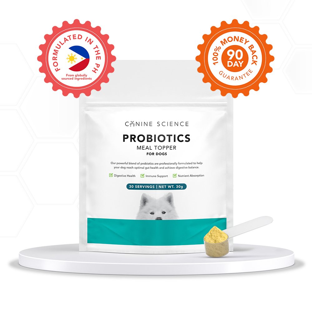 Canine probiotic powder deals