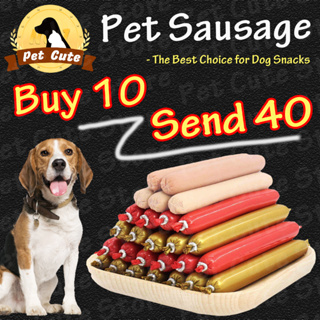 Dog treat Buy 10 Pcs Ship 40 Pcs Dog Treats Pet Treat Dog Snack Pet Snack Dog sausage