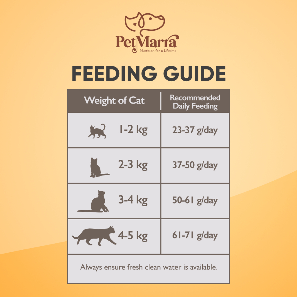 PetMarra Kitten and Adult Cat Dry Food Oceanfish Chicken Liver Beef Milk Flavor 7kg Collection — view 2