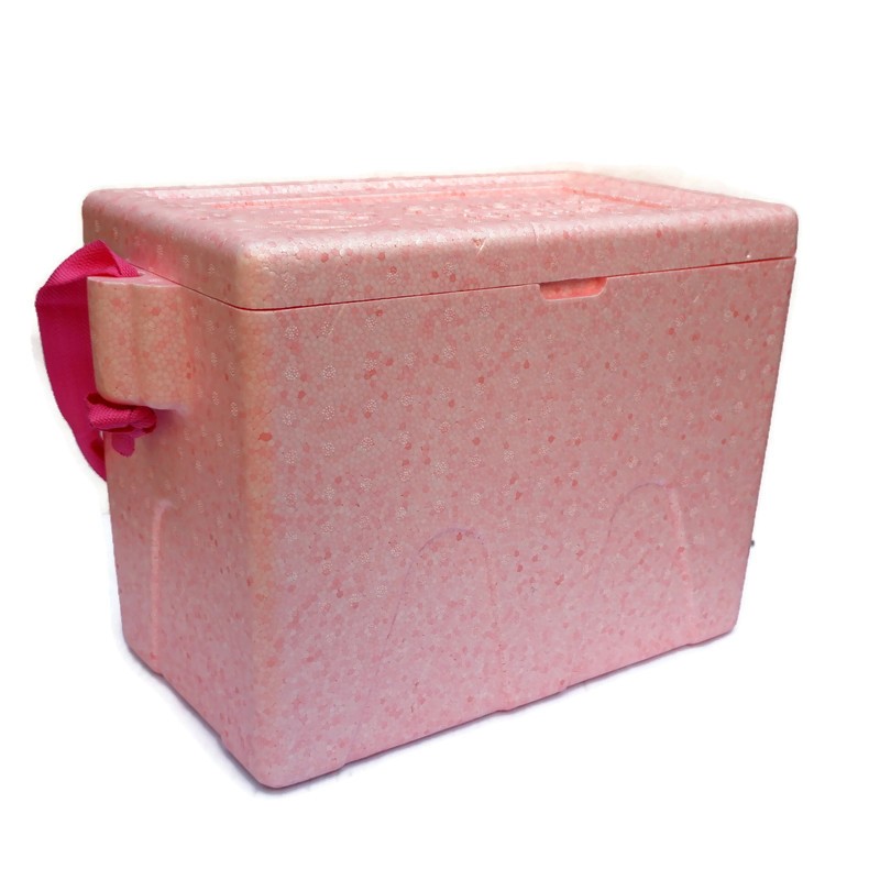 Shop ice box styrofoam for Sale on Shopee Philippines