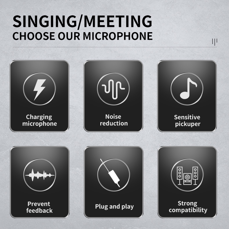 RAYHAYES Professional Wireless Microphone UHF Handheld Rechargeable Dynamic Microphone For Karaoke - Image 3