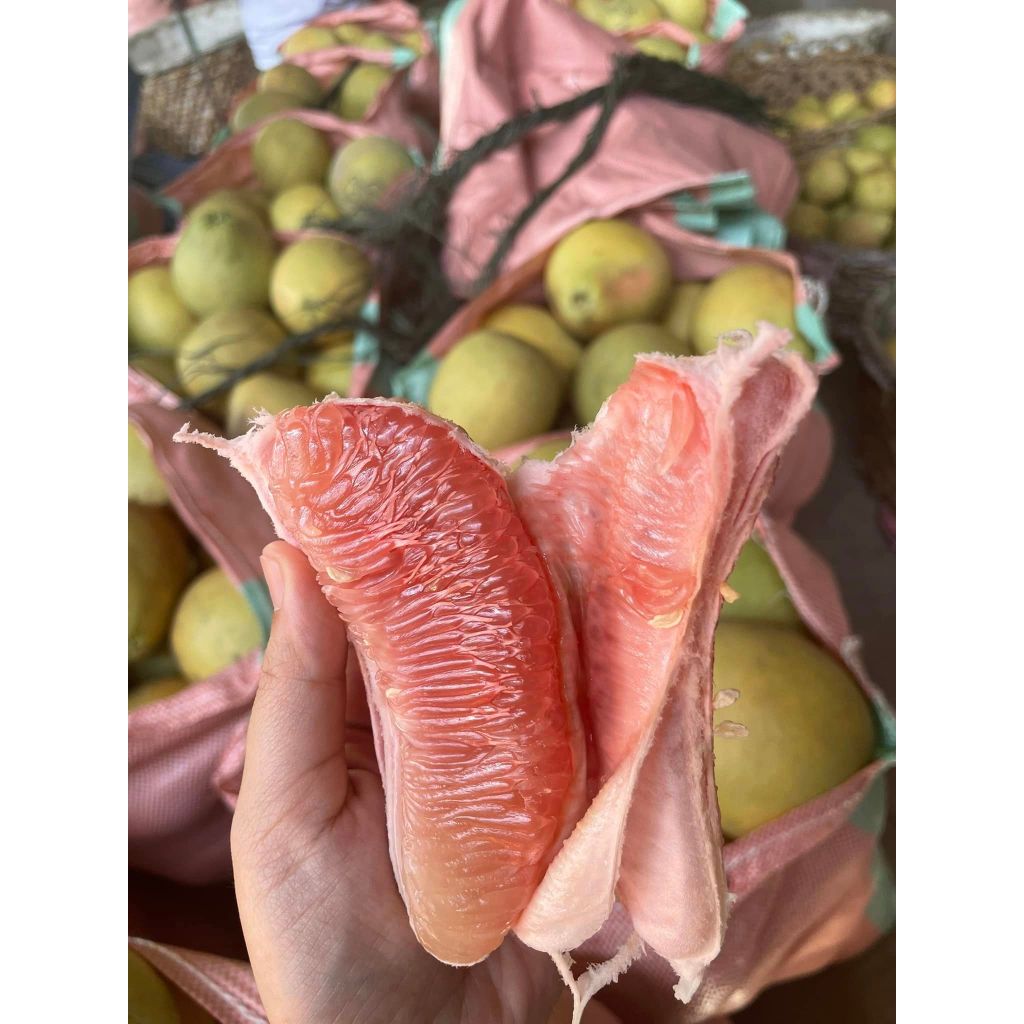 Davao Pomelo/Sweet Juicy Pomelo/Suha/Boongon — view 7