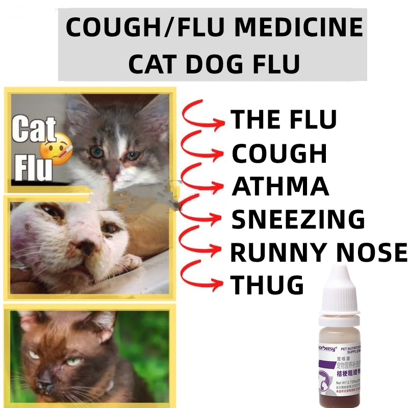 Cold and flu medicine for cats best sale