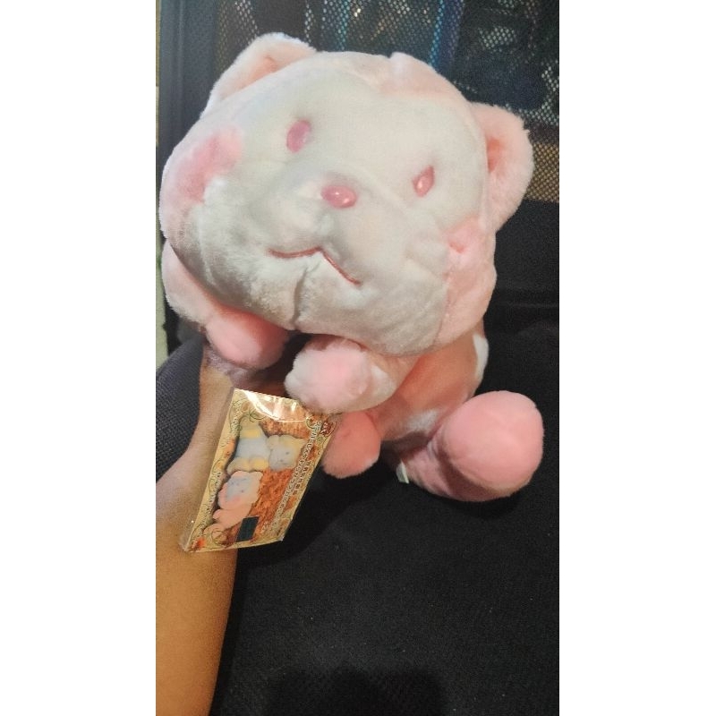 Rare Color Rascal Plush Toy - PFL Store