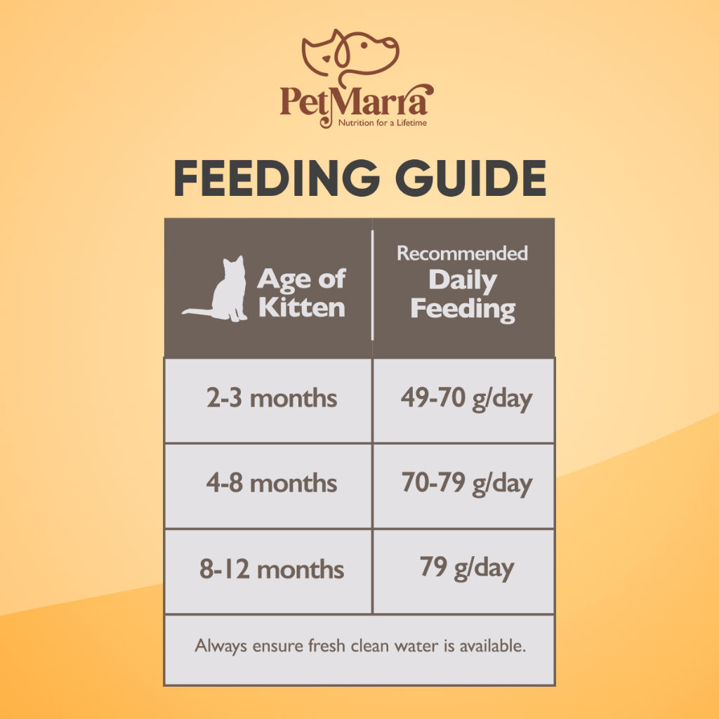 PetMarra Kitten and Adult Cat Dry Food Oceanfish Chicken Liver Beef Milk Flavor 7kg Collection — view 4